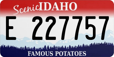ID license plate E227757