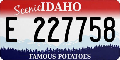 ID license plate E227758