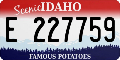 ID license plate E227759