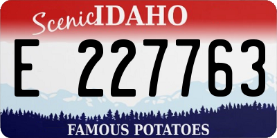 ID license plate E227763