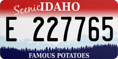 ID license plate E227765