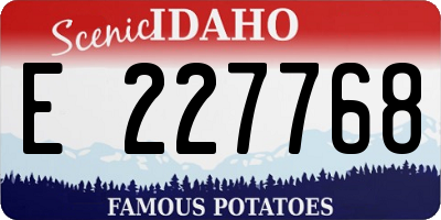 ID license plate E227768