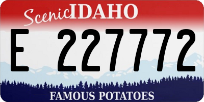 ID license plate E227772