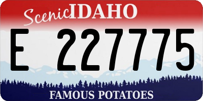 ID license plate E227775