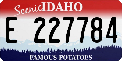 ID license plate E227784