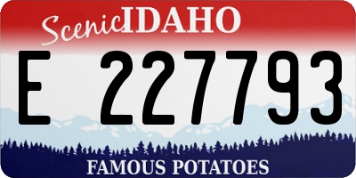 ID license plate E227793