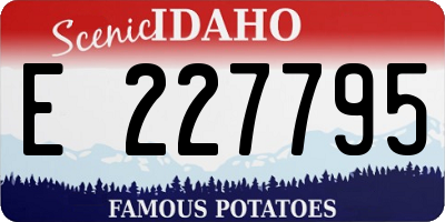 ID license plate E227795