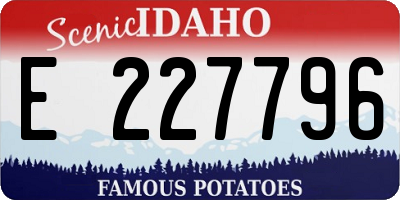 ID license plate E227796
