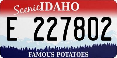 ID license plate E227802