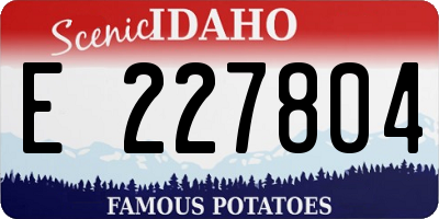 ID license plate E227804