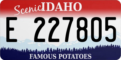 ID license plate E227805