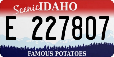 ID license plate E227807