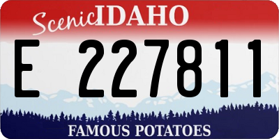 ID license plate E227811