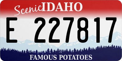 ID license plate E227817