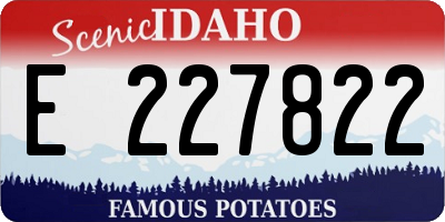 ID license plate E227822