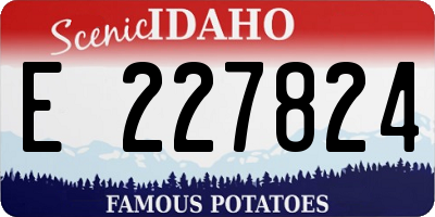 ID license plate E227824