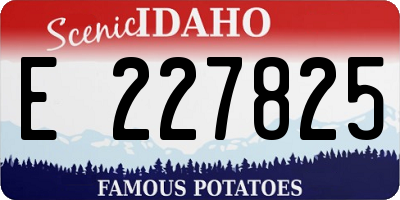 ID license plate E227825
