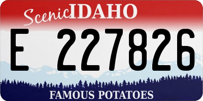 ID license plate E227826