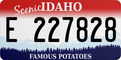 ID license plate E227828
