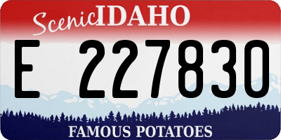 ID license plate E227830