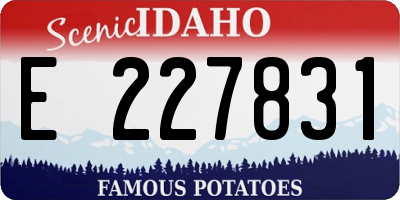 ID license plate E227831