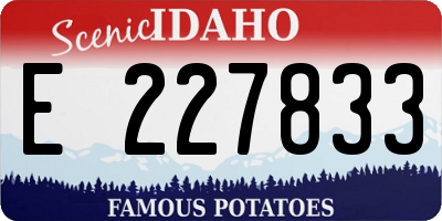 ID license plate E227833