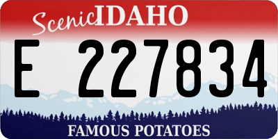 ID license plate E227834