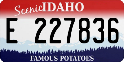ID license plate E227836