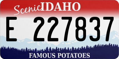 ID license plate E227837