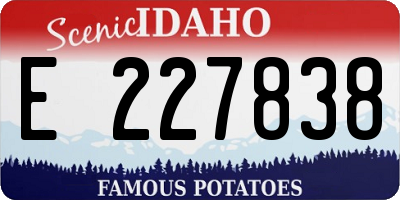 ID license plate E227838