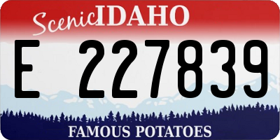 ID license plate E227839