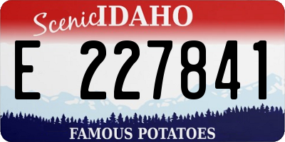 ID license plate E227841