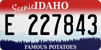 ID license plate E227843