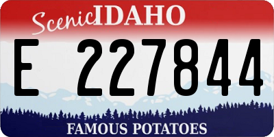 ID license plate E227844
