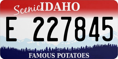 ID license plate E227845
