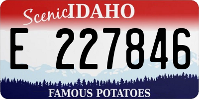 ID license plate E227846