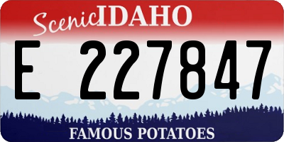 ID license plate E227847