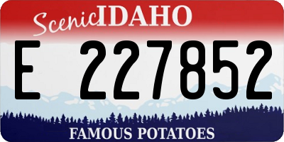 ID license plate E227852