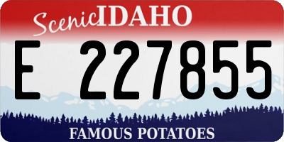 ID license plate E227855