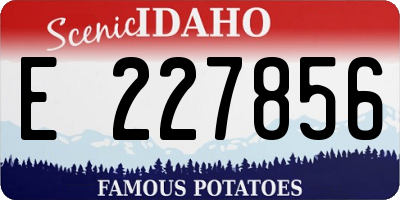 ID license plate E227856
