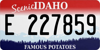 ID license plate E227859