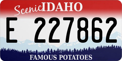 ID license plate E227862