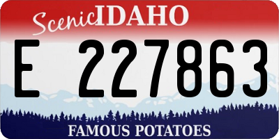 ID license plate E227863