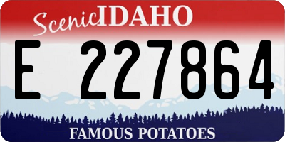 ID license plate E227864