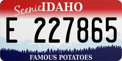 ID license plate E227865