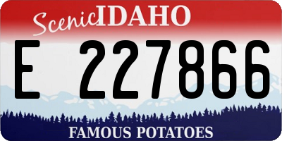 ID license plate E227866