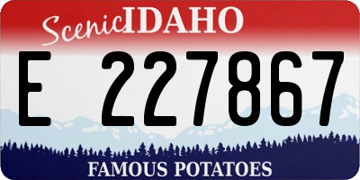 ID license plate E227867