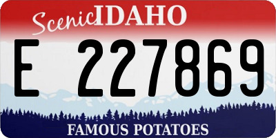 ID license plate E227869