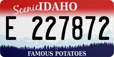 ID license plate E227872