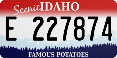 ID license plate E227874